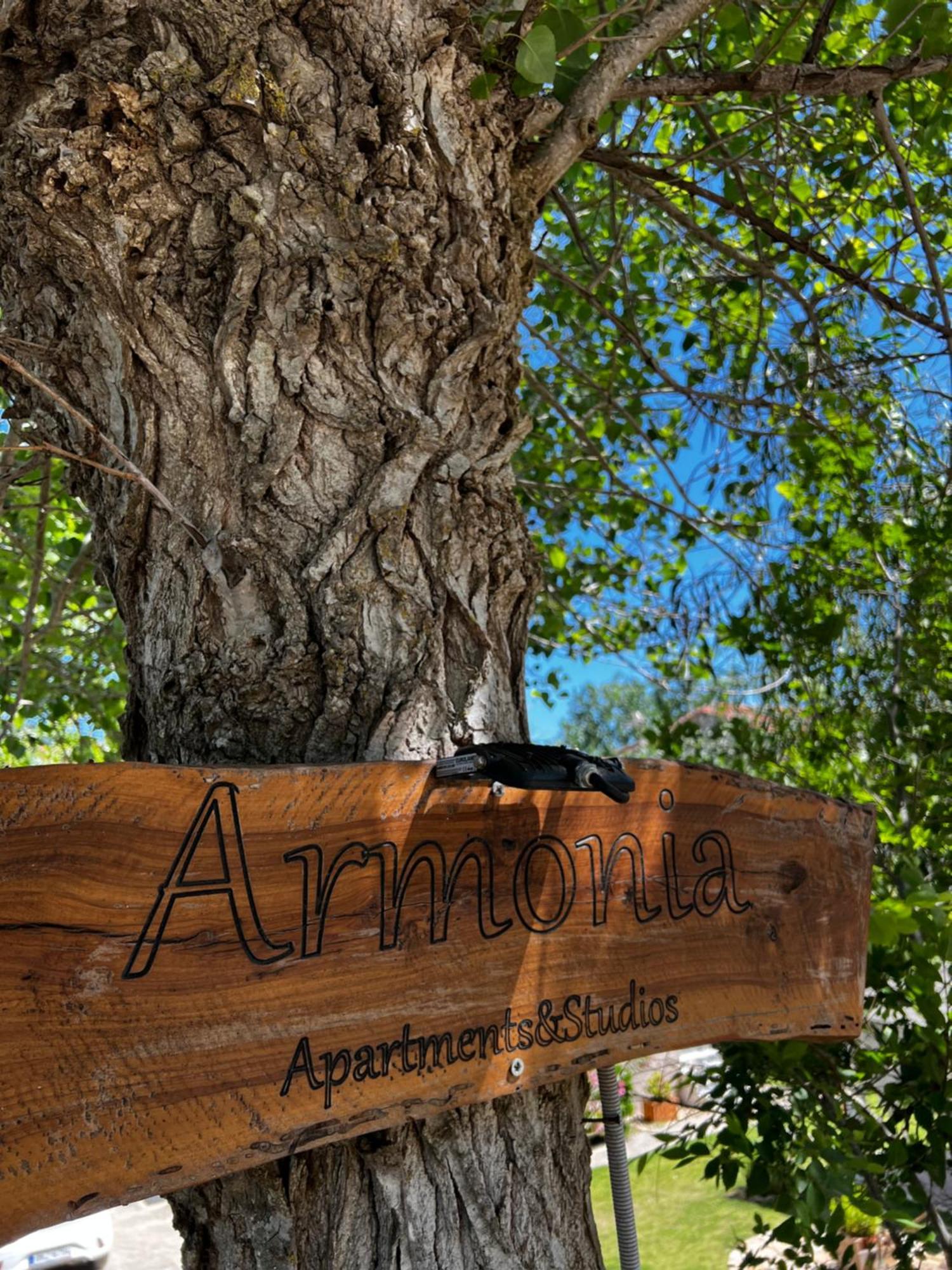 Armonia Apartments & Studios Perivolion Bagian luar foto